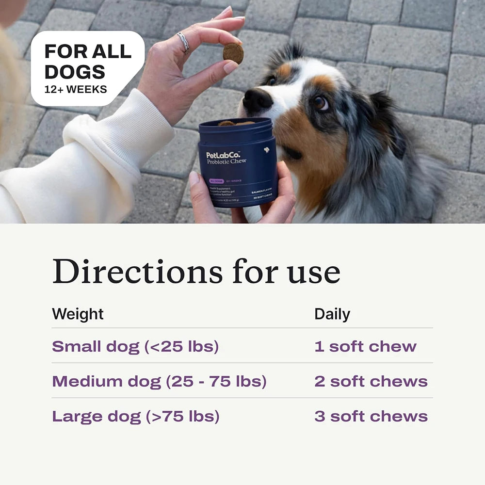 Advance Dog Probiotics Chews for Gut Health $ Allergy Relief - Beef Flavor