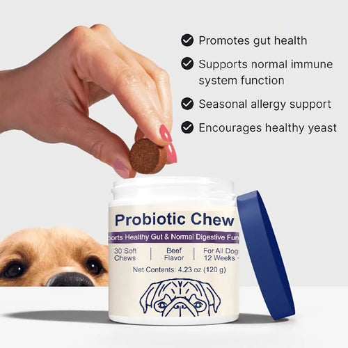 Advance Dog Probiotics Chews for Gut Health $ Allergy Relief - Beef Flavor
